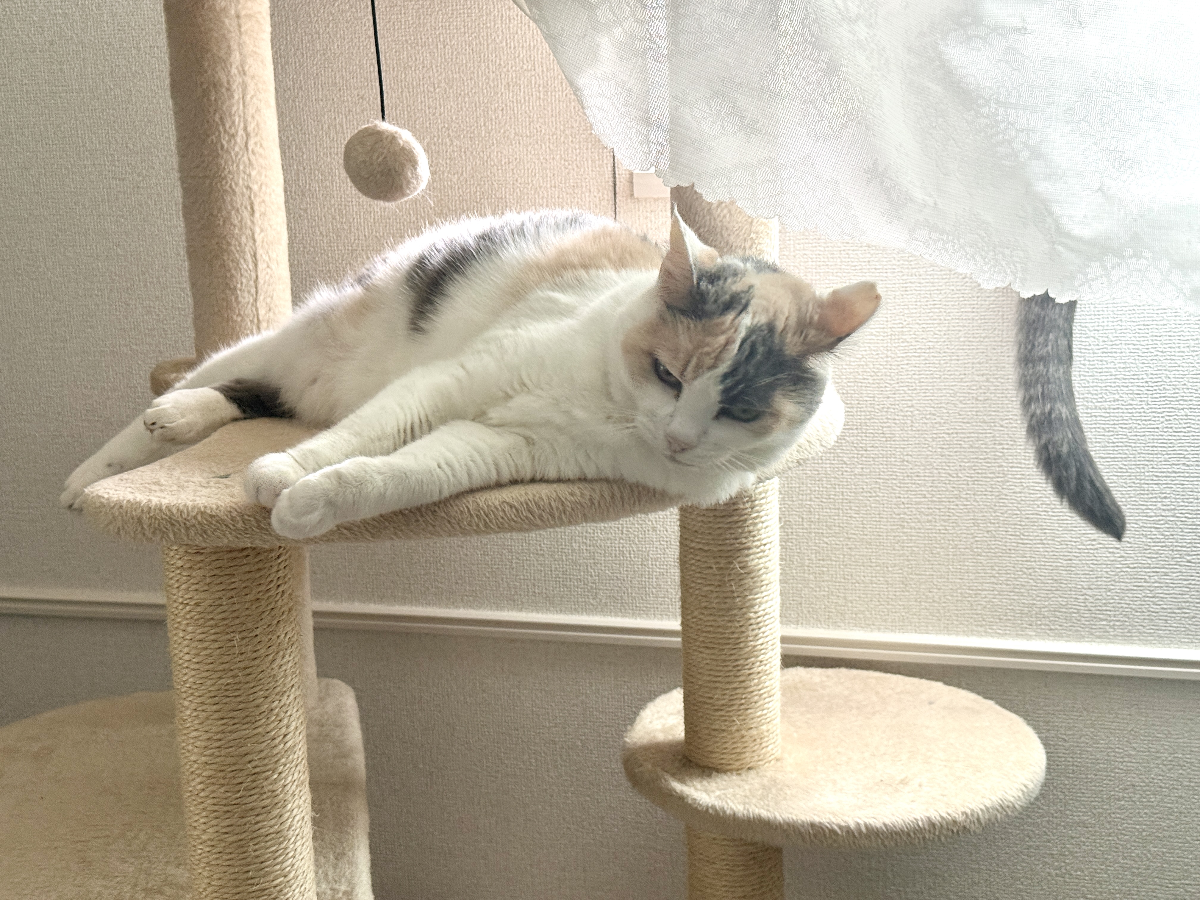 るる