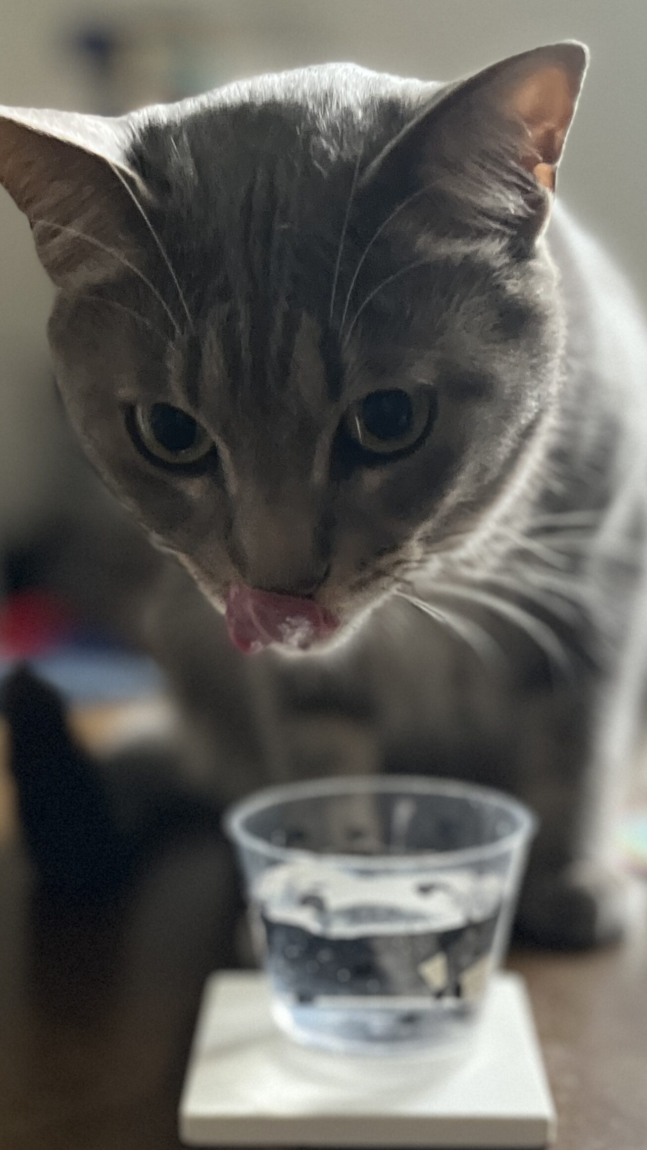りり