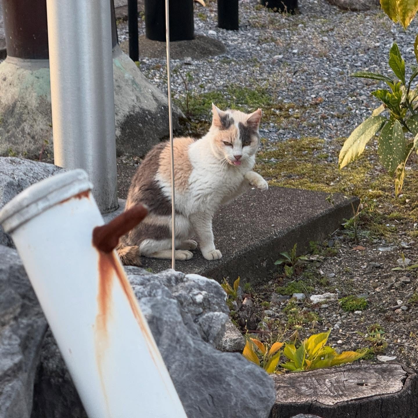 るる